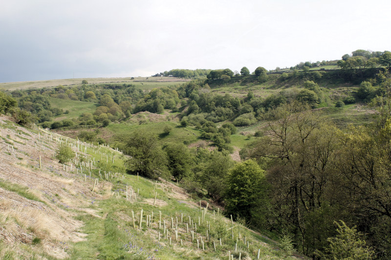 Bretton Clough Bretton Clough